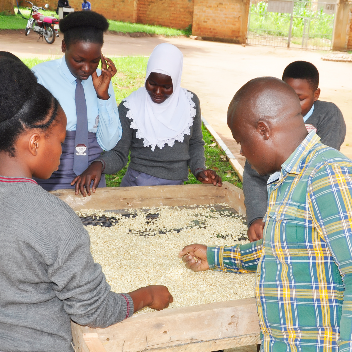 Luweero Light of Life Secondary School